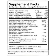 GLPro Blood Circulation Advanced Formula – (3 Bottle Pack)