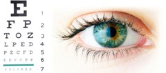 antiaging skin care for women – ZEAXANTHIN EYE HEALTH 1B – marigold seeds
