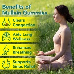 60 Count Mullein Gummies for Lung Cleanse, 2000mg Organic Mullein Leaf Extract f