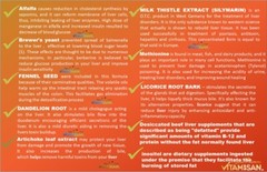 Liver Cleanse Detox Milk Thistle Extracts Silymarin, Artichoke, Dandelion, Vit B