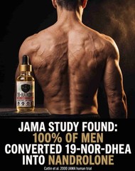 19 Nor DHEA 2 Step Precursor To Deca For Size & Strength By Vintage Muscle 💪 🧪