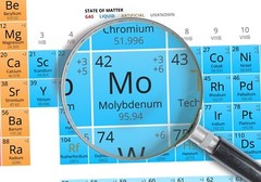 Angstrom Minerals Molybdenum 16 oz