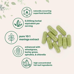 Micro Ingredients Moringa Oleifera | 300 Capsules with 300 Count (Pack of 1)