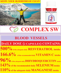 BLOOD PRESSURE & CIRCULATION SUPPORT HEALTHY CHOLESTEROL ARTERY CLEANSE PROTECT