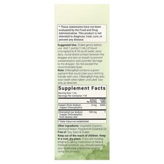 Liquid Chlorophyll, Fresh Peppermint, 4 fl oz (118 ml)