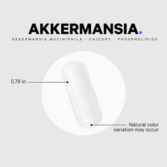 Codeage Akkermansia muciniphila 90 Vegetable Capsules probiotic prebiotic