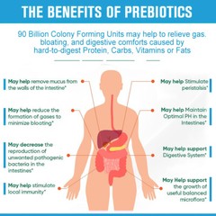 Probiotics – Increase Beneficial Intestinal Flora, Improve Intestinal Function
