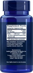 High-Potency Optimized Folate 1700 mcg DFE, 100 Veggie Tablets, 3-Pack