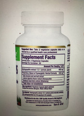 Andrographis Extract Premium Wellness Complex Buy 1 + Get 1 Free PARADISE HERBS