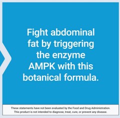 AMPK METABOLIC ACTIVATOR 4 BOTTLES BURNS BELLY FAT 120 Veg Tabs LIFE EXTENSION