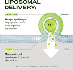 CARE GIFT Liposomal NAD+ Supplement with Resveratrol – Advanced Formula 60ct