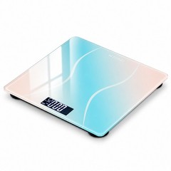 Portable Digital Scale with kg lb Unit Switch & Overload Low Battery Indication
