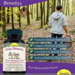 Cordyceps Sinensis | Best Supplement Capsule Pill Men Women FREE SHIP