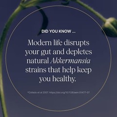Pendulum Akkermansia Probiotic Supplement Supports Gut Health 30 Capsules