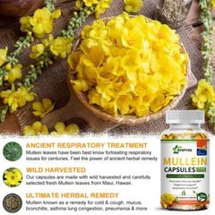 Mullein Leaf 120 Capsules For Lung Cleansing & Detox Herbal Dietary Supplement