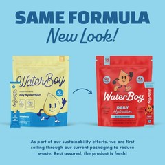 Waterboy Daily Hydration Electrolyte Powder 1570mg – No Sugar, All Natural