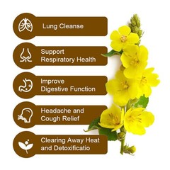 150Packs Mullein Leaf Tea Bags – Lung Cleanse Detox Herbal Enhance Immunity