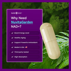 Nicotinamide + Green Tea Extract + Astaxanthin Capsules 1,119MG Anti-aging NAD+