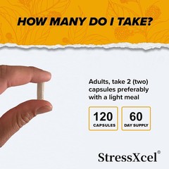 Brain Boost Nootropic Supplements Improve Cognitive Memory Mental Clarity 120 CT