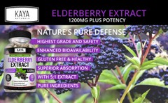 Immune Support 60Ct, Elderberry, Daily Immune and Antioxidants, 1200 mg Capsules