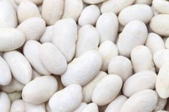 pure white kidney bean extract – White Kidney Bean Extract 500mg (1) – fat burn