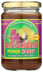 Raw Antioxidant Power Honey 13 Oz Paste