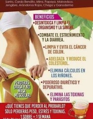 Te Divino, 6 Pack