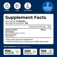 We Like Vitamins Phytoceramides 700mg – 200 Capsules 200 Count (Pack of 1)