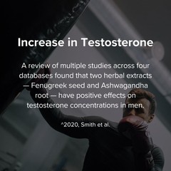 STRIVLABS Peak Potential 12 in 1 Testosterone Support for Men Fenugreek