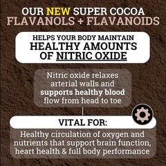Black Forest High Flavanol Cocoa Powder Flavonoids Supplement 1200 mg