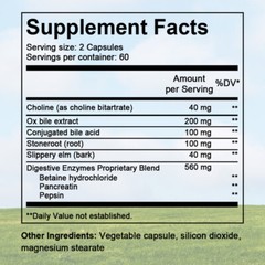 Gallbladder Formula Made w/Purified Bile Salts & Ox Bile Digestive Enzymes