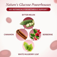 Snap Supplements Blood Sugar Blend with Berberine, CoQ10, Cinnamon, and Gymnema