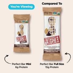 Mini Dark Chocolate Chip Peanut Butter Protein Bar, Organic, 8 count, .88 oz