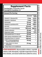 anxiety relief – MOOD SUPPORT COMPLEX – gaba ease 2B