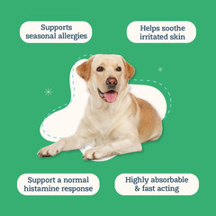 Quercetin for Dogs Liposomal Quercetin with Bromelain for Maximum Absorption Day