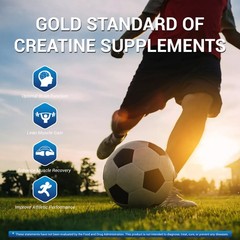 Pure Creatine Monohydrate: 4.4 lb, Micronized Powder – 200 Servings of 5g Each
