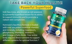 Organic Sea Moss Softgels, 90 Capsules – with Irish Sea Moss, Vitamin C, D3, …