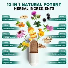 Lymphatic Drainage & Immune Support Supplement Echinacea Horse Chestnut Burdock
