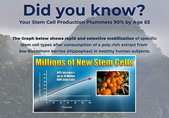 Stem Cell Release Factor | Aging and Stem Cell Support | Stimulate Migration of