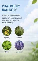 2 Pack Herbal Diffuser featuring Mullein, Thyme & Mint designed for Lung
