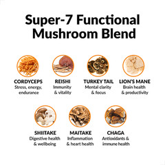 Force Factor Modern Mushrooms Soft Chews – Energy, Focus, Immunity, & Digestion