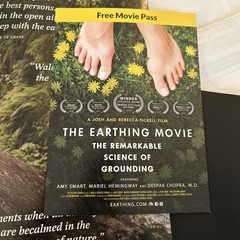 Earthing: Small Earthing Universal Matt + Earthing Magazine + Adapter