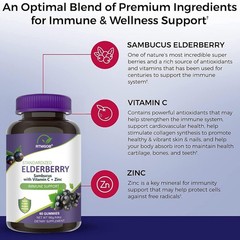 (2 Pack) Elderberry Gummies with Zinc Vitamin C, D – Sambucus Elderberry Gummies