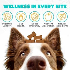 Probiotics for Dogs Chews 60 Pcs – Digestive, Gut Health & Diarrhea Support – Ch