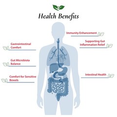 Bifidobacterium Infantis Probiotic Powder 100B CFU | Made in USA | No Additives