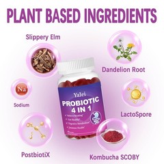 Yalei Probiotic Kombucha Gummies | Sugar Free | 60 Count (Pack of 1)