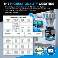 Micronized Creatine Monohydrate Powder – Gluten-Free & Keto Friendly, 10.6 Ounce