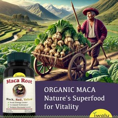 Best Maca Root Supplement | Best Supplement Capsule Pill Men Women FREE SHIP