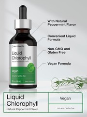 Liquid Chlorophyll Drops – 2 fl oz Supplement with Peppermint Flavor