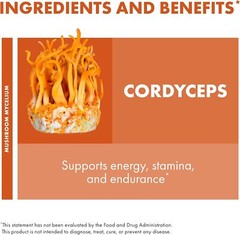 Host Defense Cordyceps – Immune & Energy Support Supplement 60 Capsules EXP 3/27